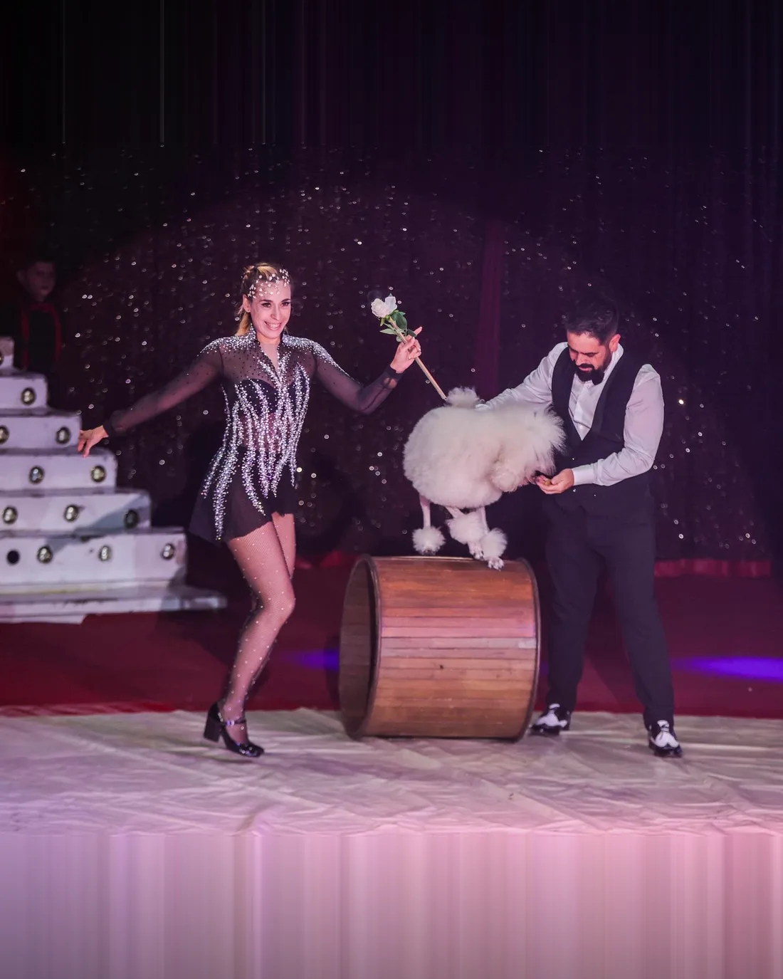 Romy und Alex Jostmann – Hundedarbietung mit Königspudeln beim Bonner Weihnachtscircus